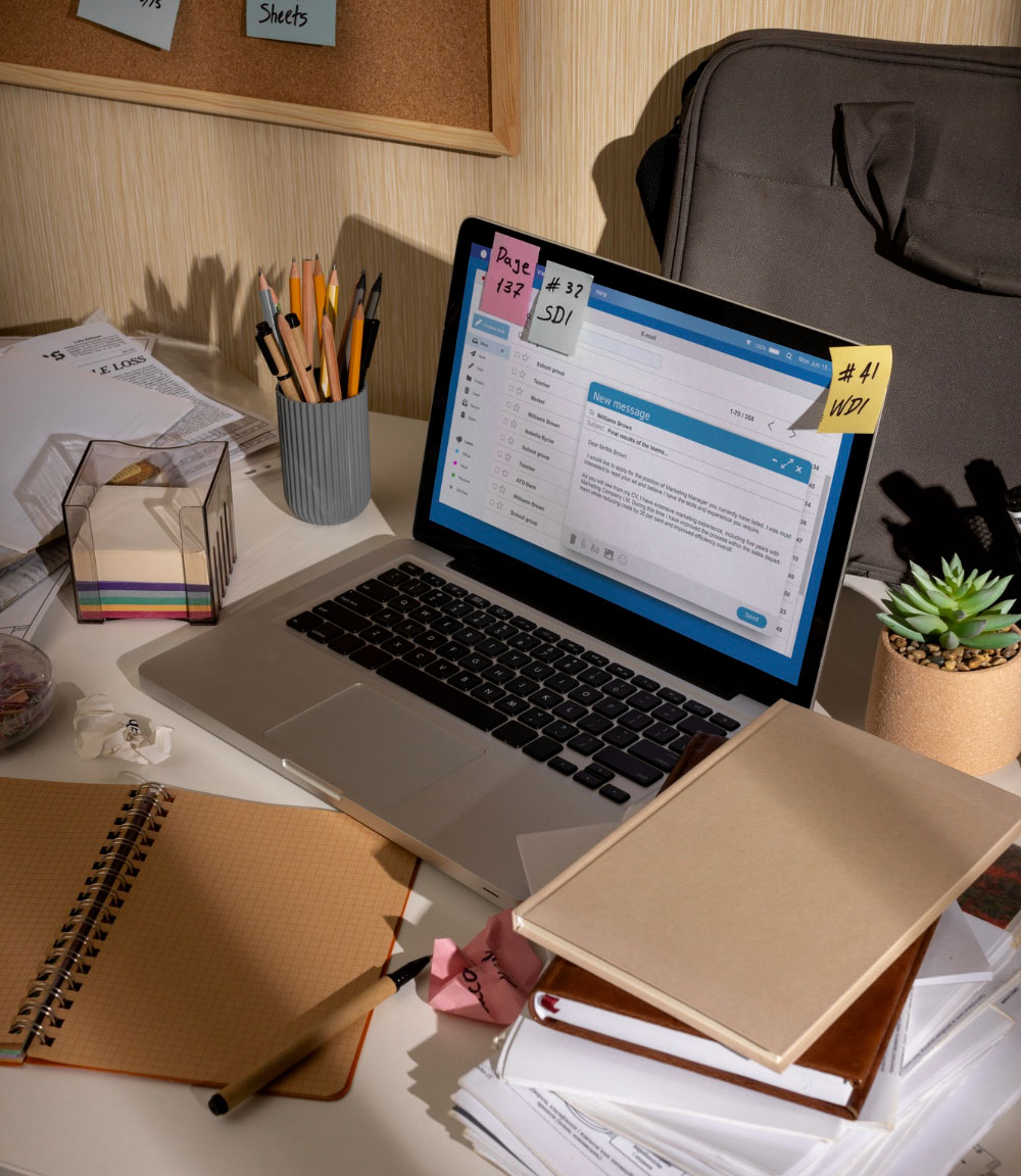 Web Designing in Vashi